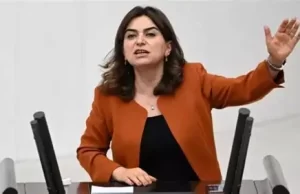 Koçyiğit: Silah yakma töreni bir eşikti, bundan sonra yeni bir süreç başlayacak