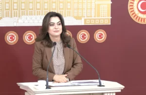 Koçyiğit: Mesele artık asayiş değil, demokrasi meselesidir