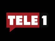 Erdoğan tarafından el konulan Tele1 satışa çıkarıldı