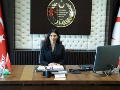 Özdenefe; “Vatandaşlık bu kadar basit olmamalı”